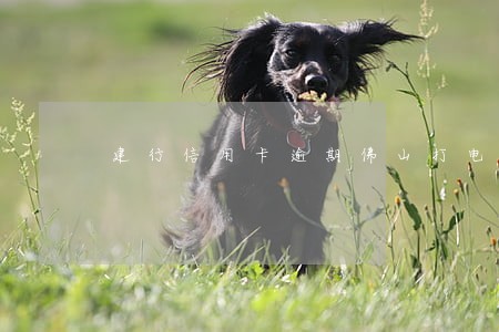 建行信用卡逾期佛山打电话过来