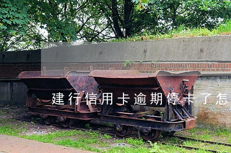 建行信用卡逾期停卡了怎么办 建行信用卡逾期停卡了怎么办