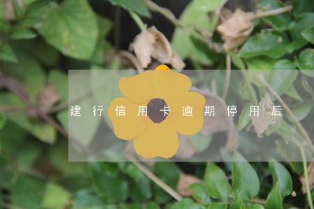 建行信用卡逾期停用后 建行信用卡逾期停用后