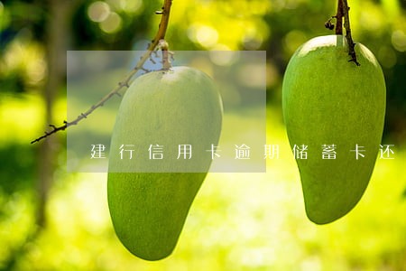 建行信用卡逾期储蓄卡还能用吗