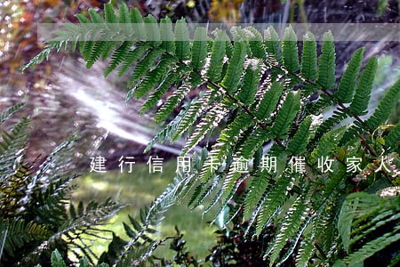建行信用卡逾期催收家人