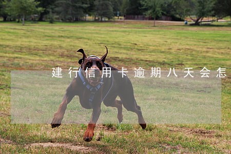 建行信用卡逾期八天会怎样 建行信用卡逾期八天会怎样