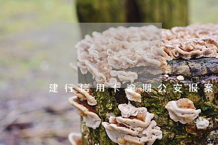 建行信用卡逾期公安报案函 建行信用卡逾期公安报案函