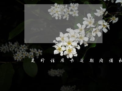 建行信用卡逾期内催和外催 建行信用卡逾期内催和外催