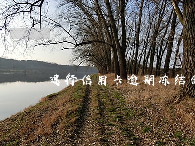 建行信用卡逾期冻结储蓄卡