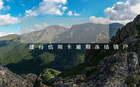 建行信用卡逾期冻结销户