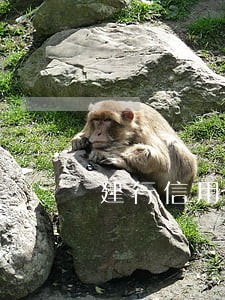 建行信用卡逾期凌晨会扣工资卡 建行信用卡逾期凌晨会扣工资卡