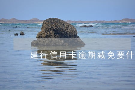 建行信用卡逾期减免要什么资料 建行信用卡逾期减免要什么资料