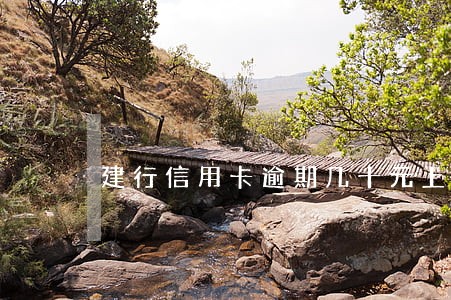 建行信用卡逾期几十元上征信么 建行信用卡逾期几十元上征信么