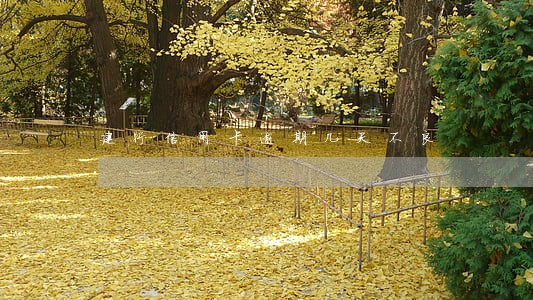 建行信用卡逾期几天不良