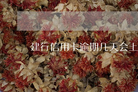 建行信用卡逾期几天会上征信 建行信用卡逾期几天会上征信