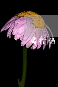 建行信用卡逾期几天会影响征信 建行信用卡逾期几天会影响征信