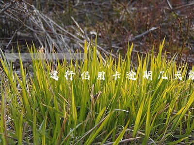 建行信用卡逾期几天能消除吗 建行信用卡逾期几天能消除吗