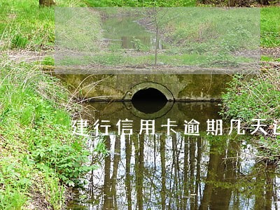 建行信用卡逾期几天还款 建行信用卡逾期几天还款