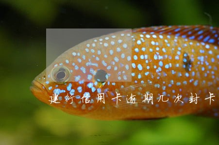 建行信用卡逾期几次封卡 建行信用卡逾期几次封卡