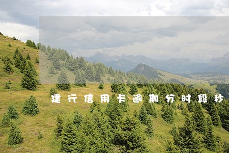 建行信用卡逾期分时段秒扣