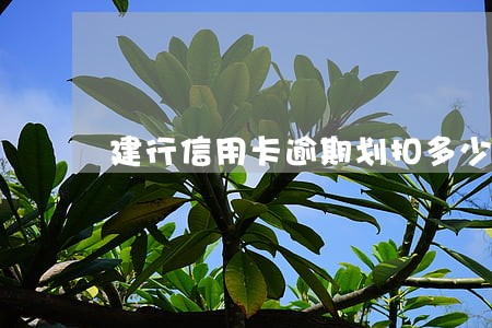 建行信用卡逾期划扣多少长时间