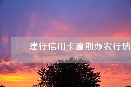 建行信用卡逾期办农行储蓄卡 建行信用卡逾期办农行储蓄卡