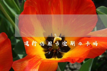 建行信用卡逾期办卡吗 建行信用卡逾期办卡吗