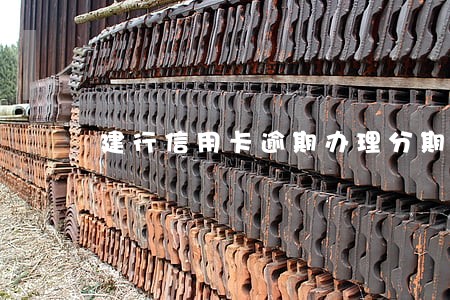 建行信用卡逾期办理分期