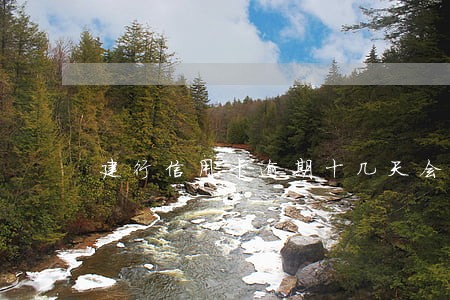 建行信用卡逾期十几天会怎么办