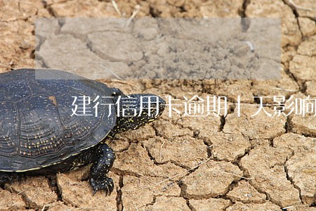 建行信用卡逾期十天影响大吗 建行信用卡逾期十天影响大吗
