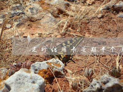 建行信用卡逾期半个月会被停卡吗 建行信用卡逾期半个月会被停卡吗