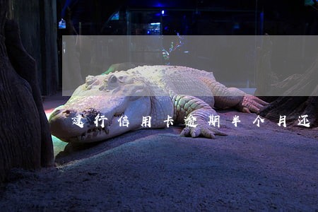 建行信用卡逾期半个月还没还款 建行信用卡逾期半个月还没还款