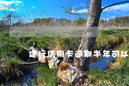 建行信用卡逾期半年可以协商吗 建行信用卡逾期半年可以协商吗