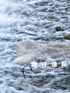 建行信用卡逾期卡被停了 建行信用卡逾期卡被停了