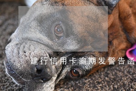 建行信用卡逾期发警告函