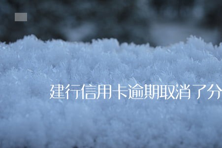 建行信用卡逾期取消了分期怎么还 建行信用卡逾期取消了分期怎么还