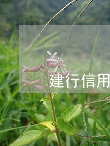 建行信用卡逾期只还本金行吗 建行信用卡逾期只还本金行吗