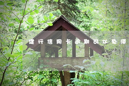 建行信用卡逾期可以免滞纳金吗 建行信用卡逾期可以免滞纳金吗