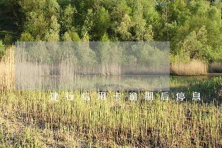建行信用卡逾期后停息 建行信用卡逾期后停息