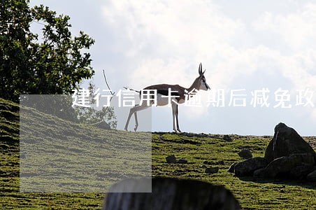 建行信用卡逾期后减免政策 建行信用卡逾期后减免政策