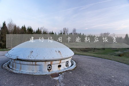 建行信用卡逾期后恢复