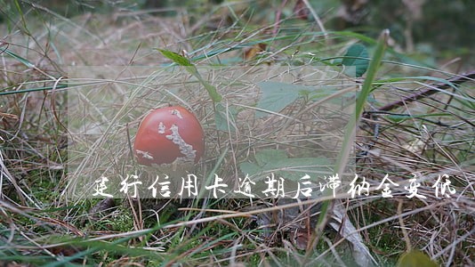 建行信用卡逾期后滞纳金变低 建行信用卡逾期后滞纳金变低