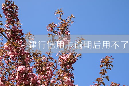 建行信用卡逾期后用不了
