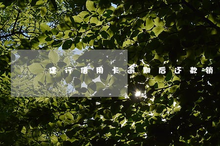 建行信用卡逾期后还款销卡 建行信用卡逾期后还款销卡