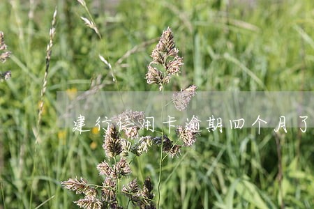 建行信用卡逾期四个月了滞 建行信用卡逾期四个月了滞