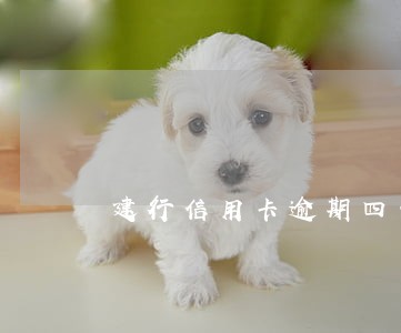 建行信用卡逾期四千多天 建行信用卡逾期四千多天