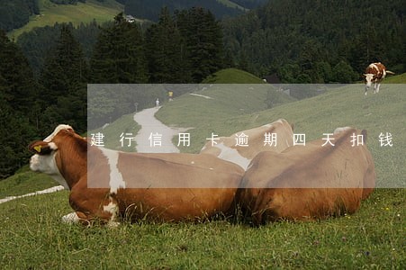 建行信用卡逾期四天扣钱吗 建行信用卡逾期四天扣钱吗