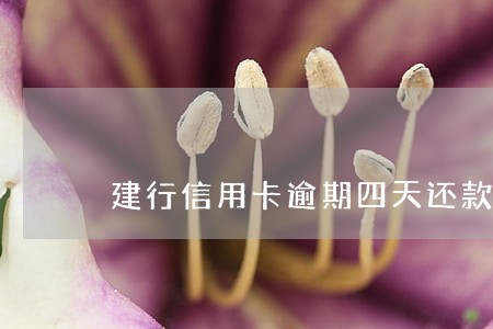 建行信用卡逾期四天还款