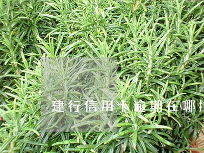 建行信用卡逾期在哪拉 建行信用卡逾期在哪拉