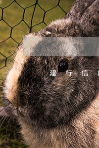 建行信用卡逾期处理电话 建行信用卡逾期处理电话