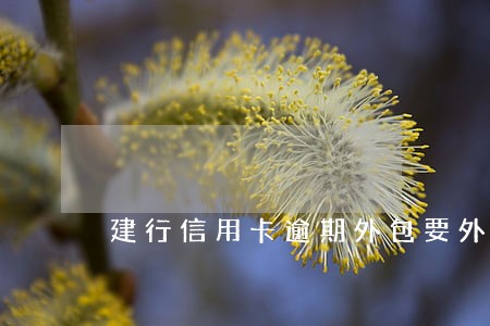 建行信用卡逾期外包要外访 建行信用卡逾期外包要外访