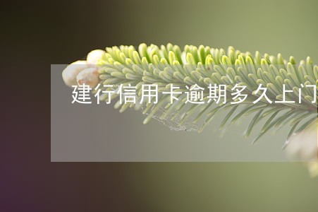 建行信用卡逾期多久上门提额