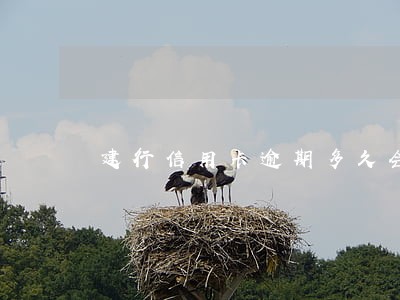 建行信用卡逾期多久会收到信件 建行信用卡逾期多久会收到信件