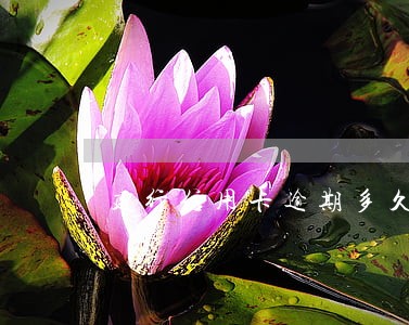 建行信用卡逾期多久会有危险 建行信用卡逾期多久会有危险